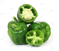 Capsicum -Shimla Mirch(Green)-500gm