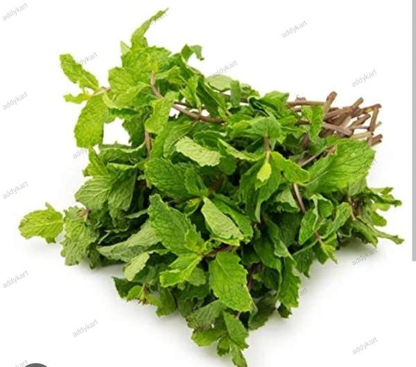 Mint Leaves -pudhina-100 Gm