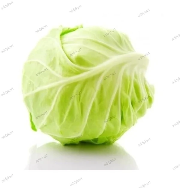Cabbage-pattagobhi-1 Pc Approx 400gm-500gm