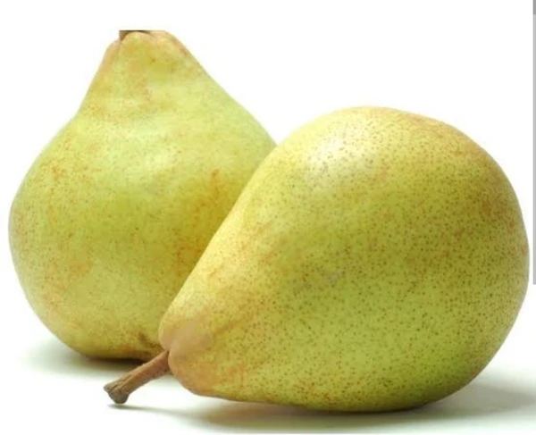 Nashpati -pear indian - 1 Kg