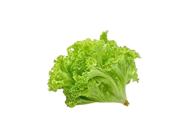 Lettuce -Green-250 Gm