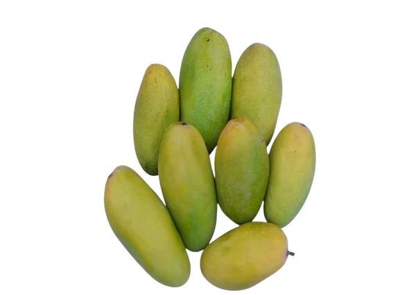 Mango Dasheri-1kg