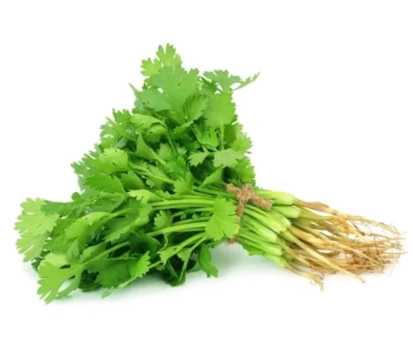 Coriander -Hara Dhaniya  - 100gm