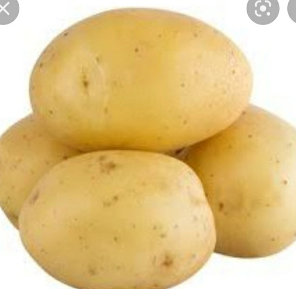 POTATO BATATA - Medium