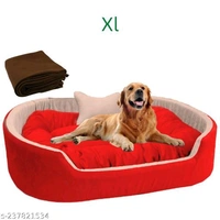 Beds, Sofas & Chairs for Dogs
