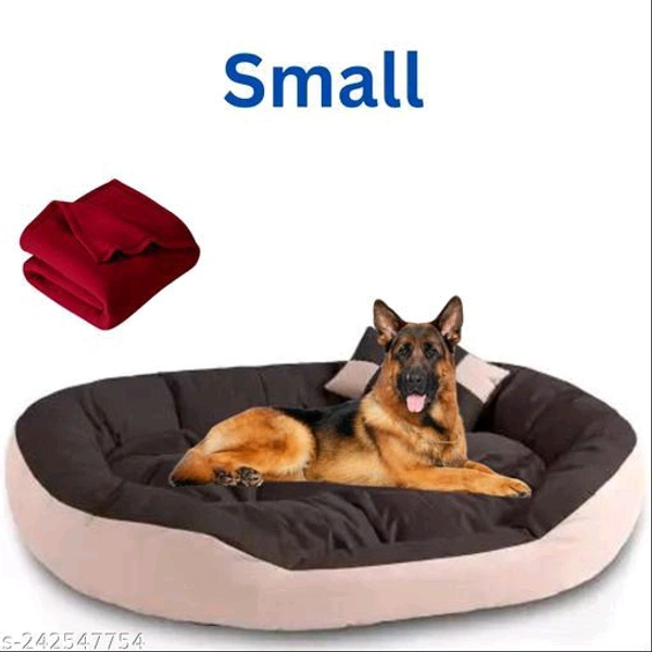 Unique Beds, Sofas & Chairs for Dogs*