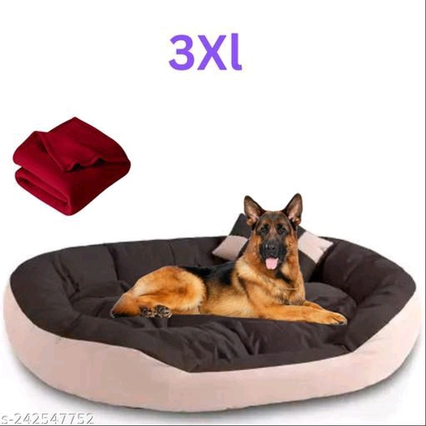 Unique Beds, Sofas & Chairs for Dogs*
