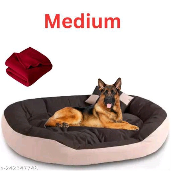 Unique Beds, Sofas & Chairs for Dogs*