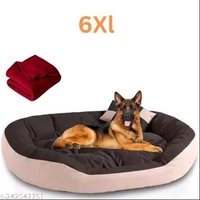 Unique Beds, Sofas & Chairs for Dogs*