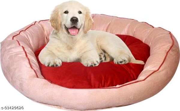 Beds, Sofas & Chairs for Dogs*