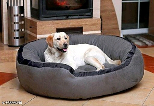 Beds, Sofas & Chairs for Dogs