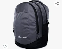POLESTAR Noble 32 L College/ School/ Office/ Casual/ Travel Backpack with 15.6" laptop compartment, made with polyester, 1 year warranty