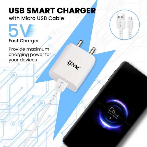 EVM CH-01 2.4 A Mobile Charger with Detachable Cable  (White) - White
