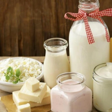 Dairy Products (ડેરી પ્રોડક્ટ્સ)