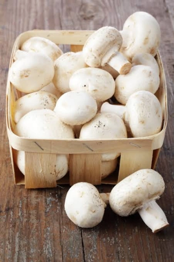 Mushroom मशरूम 