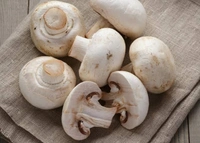 Mushroom मशरूम 