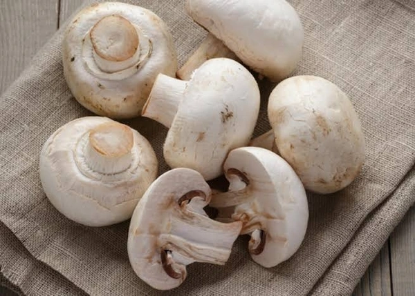 Mushroom मशरूम 