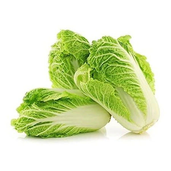 Roman Lettuce 