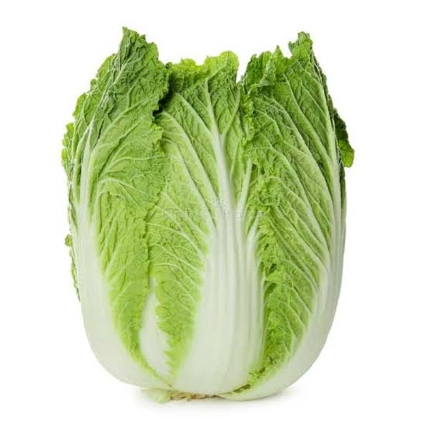 Roman Lettuce 