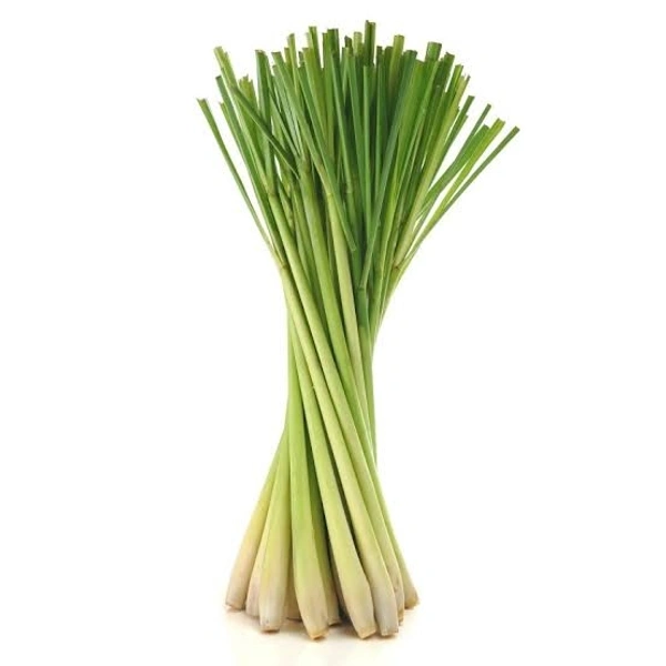 Lemon Grass निम्बू की पत्ती 250gm