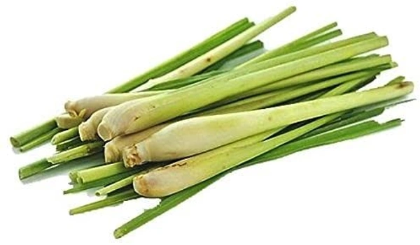 Lemon Grass निम्बू की पत्ती 250gm