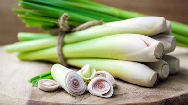 Lemon Grass निम्बू की पत्ती 250gm