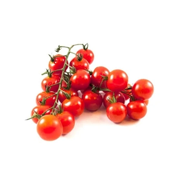 Cherry Tomato 