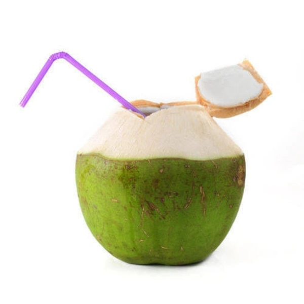 Coconut Water नारियल पानी 