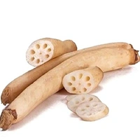 Lotus Stem कमल ककड़ी 250gm