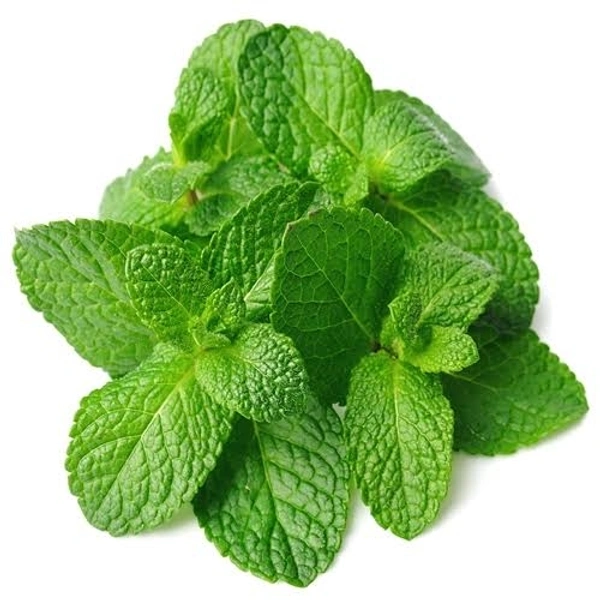 Mint पुदीना 