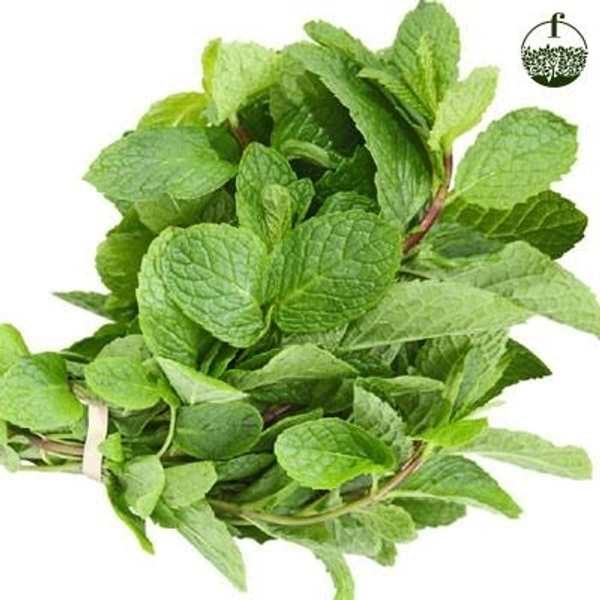 Mint पुदीना 