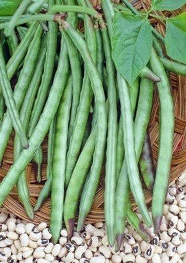 Chawalafali चवलाफली 250gm
