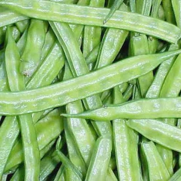 Gwarfali ग्वारफली 250gm