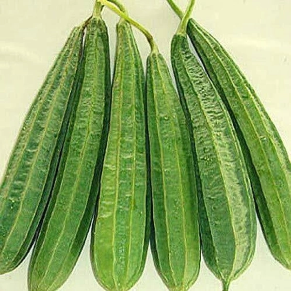 Turai तुरई 250gm