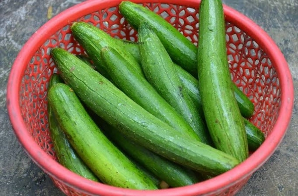 Gilki गिलकी 250gm
