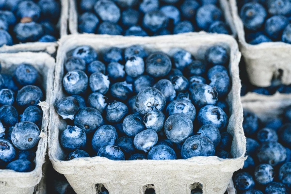 Blueberry ब्लू बेरी 
