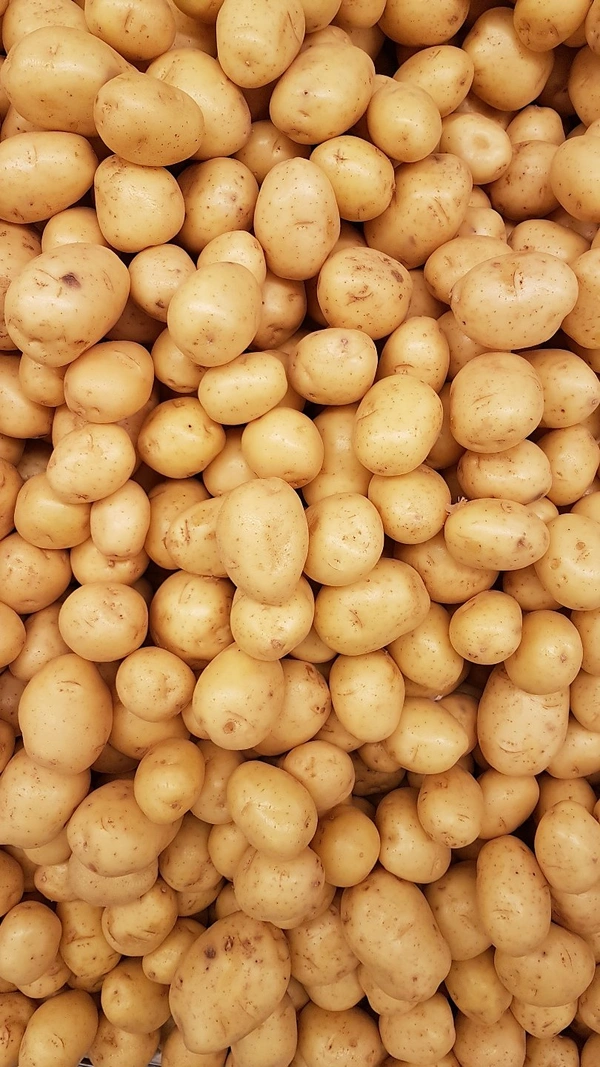 Potato आलू 1kg