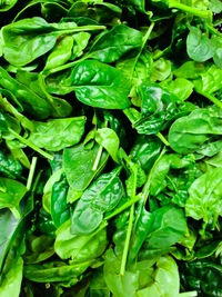 Palak पालक 250gm