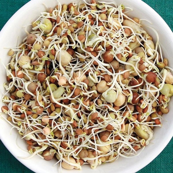 Mix Sprouts मिक्स स्प्राउट 