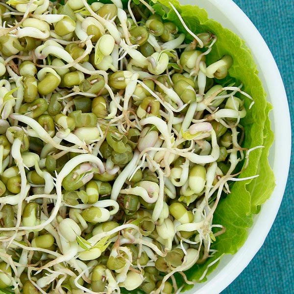 Moong Sprouts मूंग स्प्राउट 