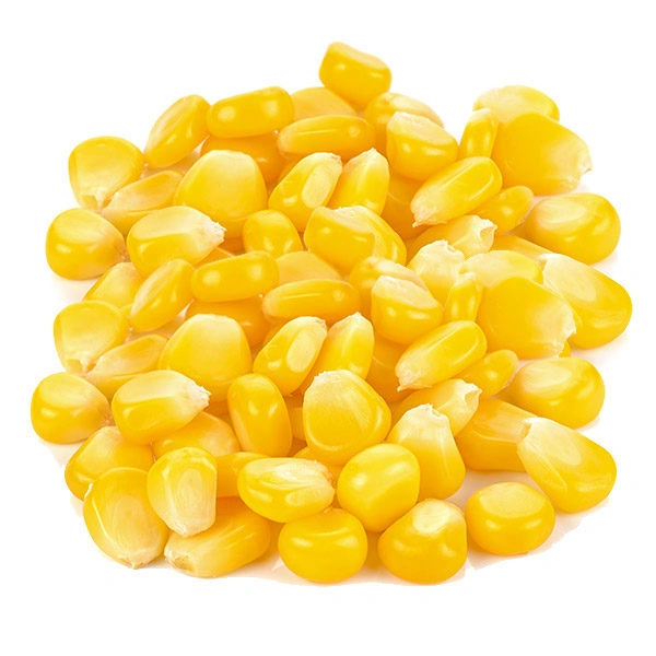 Frozen Corn फ्रोजन कॉर्न 