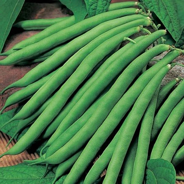 French Beans बीन्स 250gm