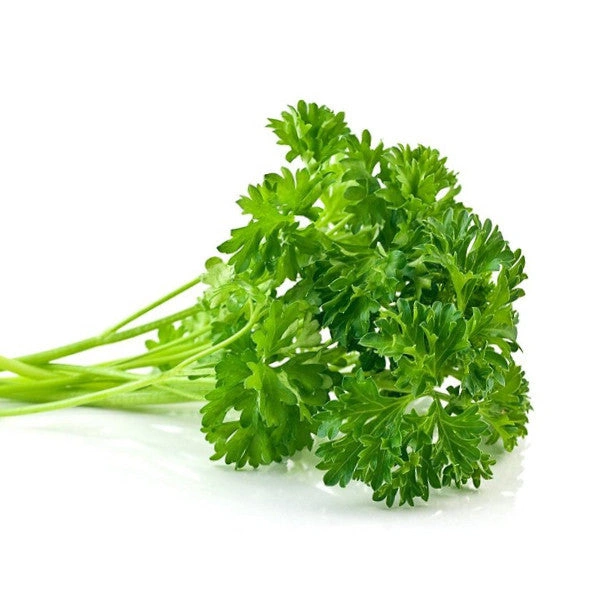 Parsley Leaves 100gm