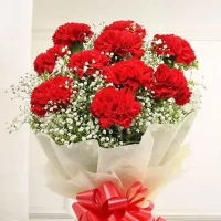 10 Red Carnations Bouquet
