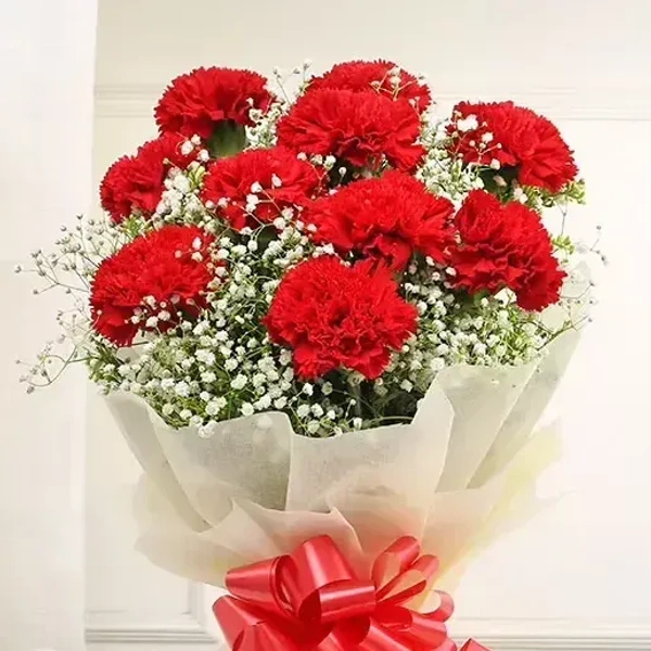 10 Red Carnations Bouquet
