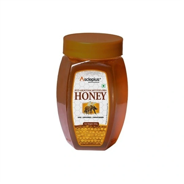 Eco Arogyam Multiflora Honey - 500 Gm