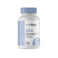 WellRoot Zinc Tablet - 60 Tablets