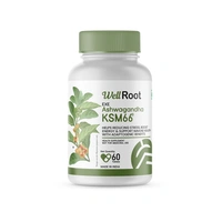 WellRoot Ashwagandha Tablet - 60 Tablets