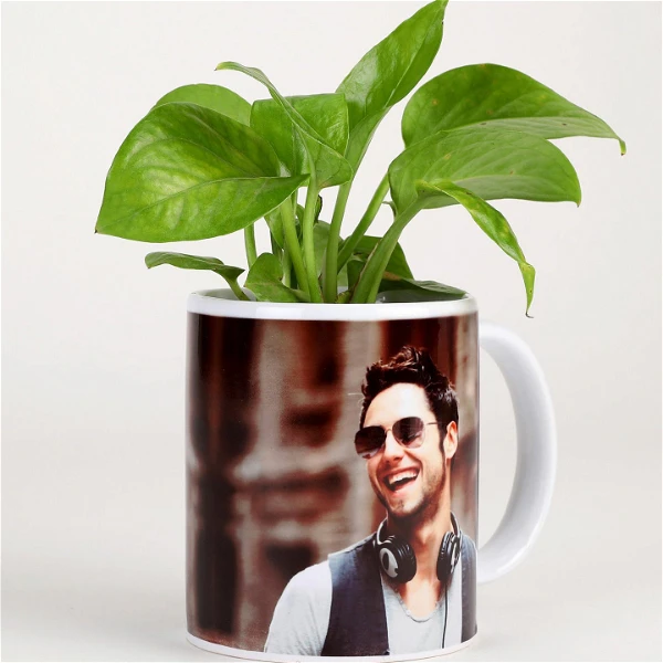 Money Plant In Stylish Personalised Mug White