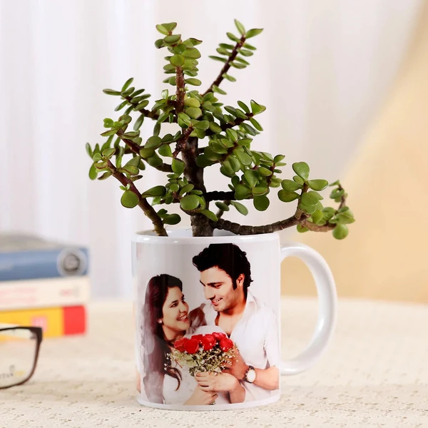 Jade Plant In Personalised Mug White